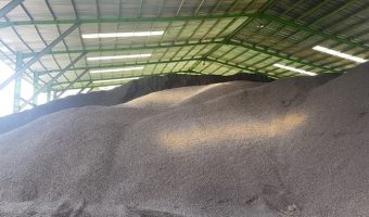 supplier-cangkang-sawit-bfi-padang-5